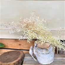 Load image into Gallery viewer, Dried Ruscus
