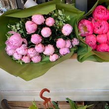 Load image into Gallery viewer, Peonies
