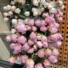 Load image into Gallery viewer, Peonies
