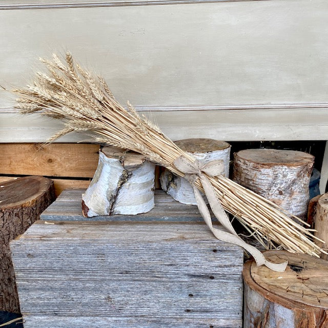 Dried Wheat